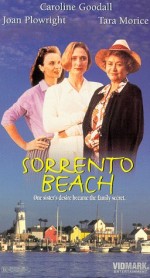 Hotel Sorrento (1995) afişi