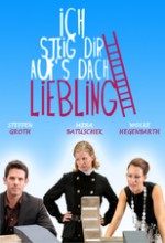 Ich Steig' Dir Aufs Dach, Liebling (2009) afişi
