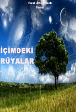 Içimdeki Rüyalar (2011) afişi