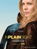 ın Plain Sight (2008) afişi
