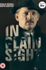 In Plain Sight (2016) afişi