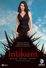 İntikam (2013) afişi