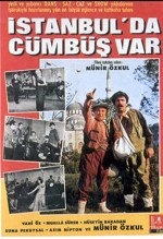 İstanbul'da Cümbüş Var (1968) afişi