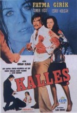 Kalleş (1974) afişi