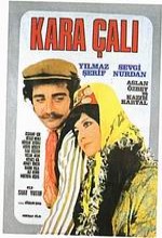 Kara Çalı (1973) afişi