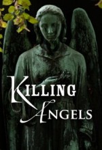 Killing Angels (2014) afişi