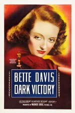 Karanlık Zafer (1939) afişi