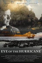 Kasırganın Gözü (2012) afişi