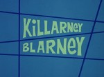 Killarney Blarney (1973) afişi