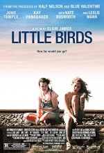 Küçük Kuşlar (2011) afişi
