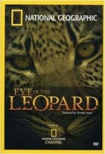 Leoparın Gözleri  afişi