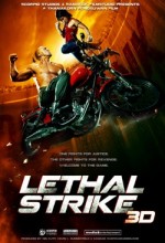 Lethal Strike 3d (2010) afişi