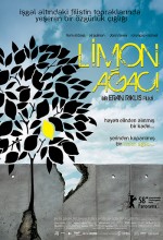 Limon Ağacı