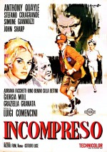 L'incompris (1966) afişi