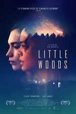 Little Woods  (2018) afişi
