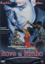 Love in Limbo (1993) afişi