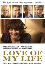 Love of My Life (2017) afişi