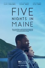 Maine'de Beş Gece (2015) afişi