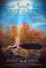Many Beautiful Things (2015) afişi