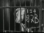 Mon Chien (1955) afişi