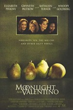 Moonlight And Valentino (1995) afişi