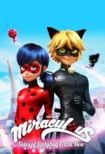 Mucize: Uğur Böceği ile Kara Kedi (2015) afişi Mucize: Uğur Böceği ile Kara Kedi (2015) afişi