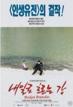 Naeilro Heureuneun Kang (1996) afişi