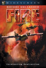 Nature Unleashed: Fire (2004) afişi
