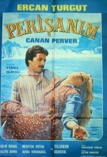 Perişanım (1980) afişi