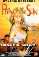 Prince Of The Sun (1990) afişi