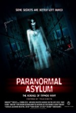 Paranormal Asylum: The Revenge of Typhoid Mary (2013) afişi
