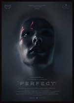 Perfect (2018) afişi