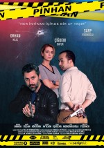 Pinhan (2016) afişi