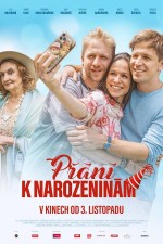 Prání k narozeninám (2023) afişi