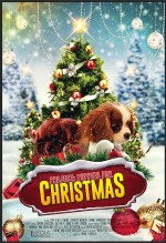 Project: Puppies for Christmas (2017) afişi
