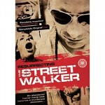 Resurrecting The Street Walker (2009) afişi