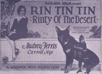 Rinty Of The Desert (1928) afişi