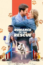 Romance to the Rescue (2022) afişi