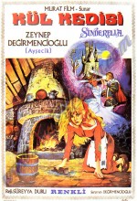 Sinderella Kül Kedisi (1971) afişi