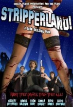 Stripperland (2010) afişi