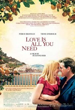 Sadece Aşk (2012) afişi