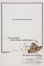 Şampuan (1975) afişi