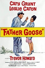 Şaşkın Baba (1964) afişi