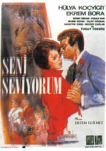 Seni Seviyorum (1966) afişi