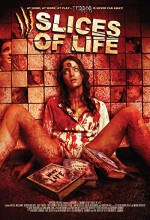 Slices Of Life (2010) afişi