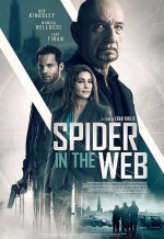 Spider in the Web (2019) afişi Spider in the Web (2019) afişi