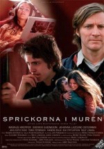 Sprickorna i muren (2003) afişi