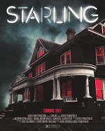 Starling (2017) afişi