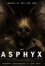 The Asphyx (2011) afişi