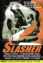 The Slasher (2000) afişi